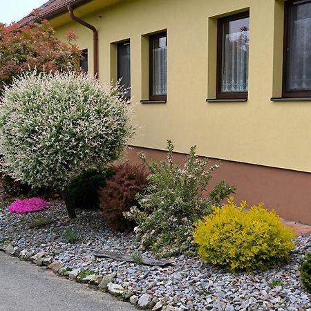 Ubytování U Janča Lednice Exterior foto